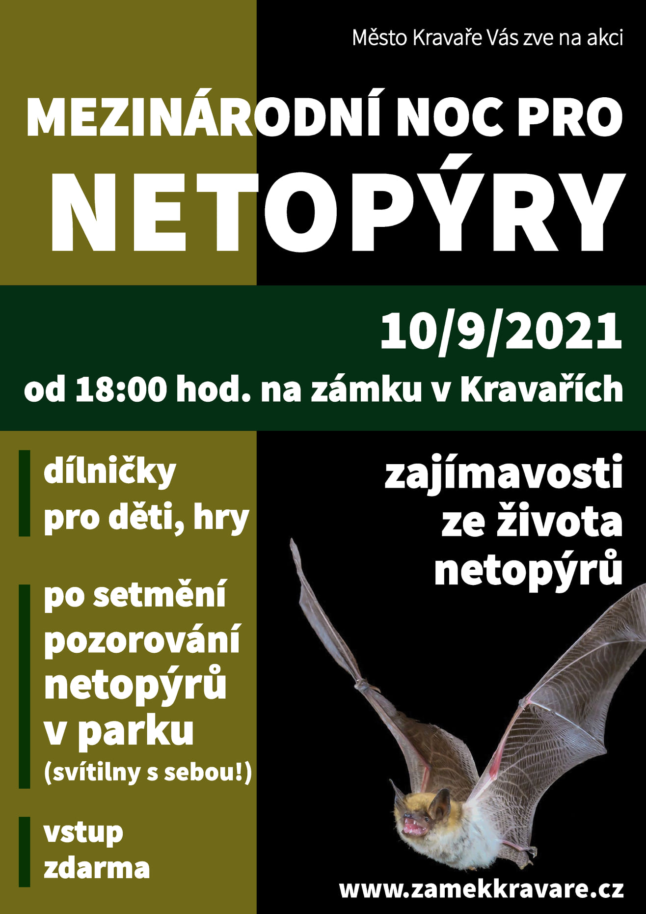 Mezinárodní noc s netopýry 