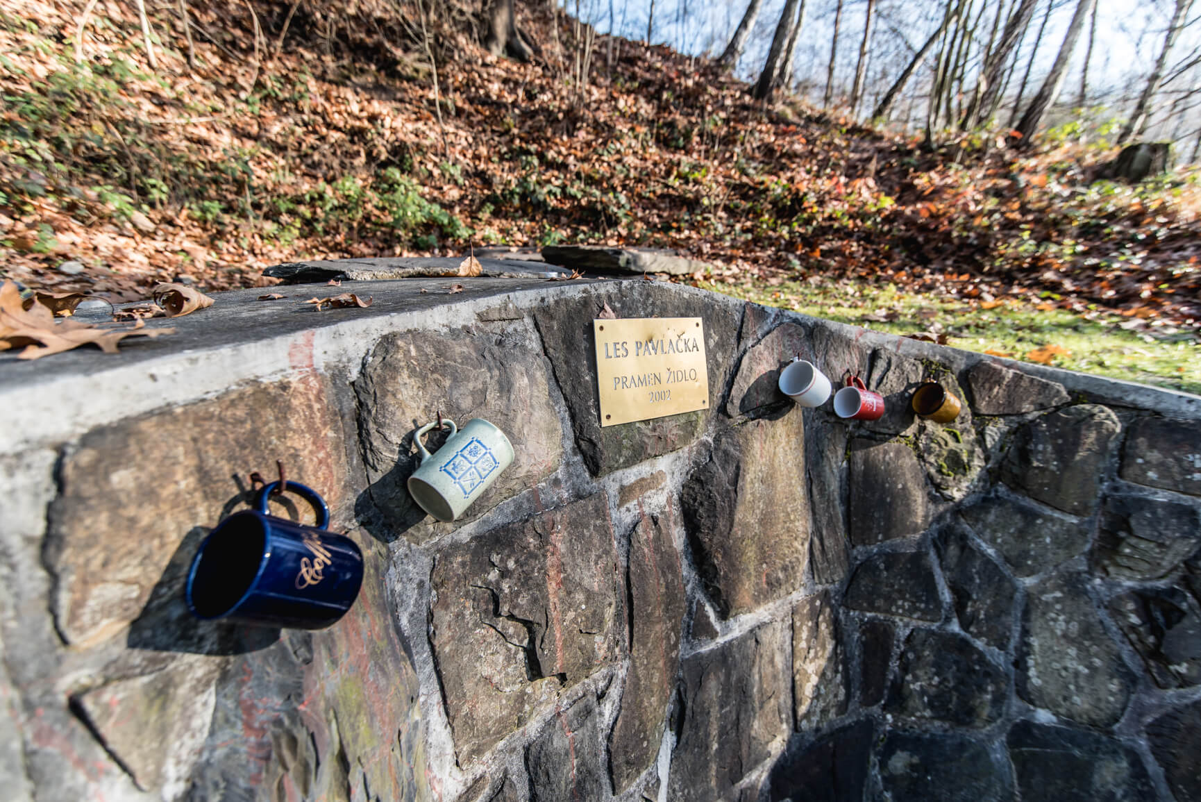 DSC_0129.jpg DSC_0129.jpg