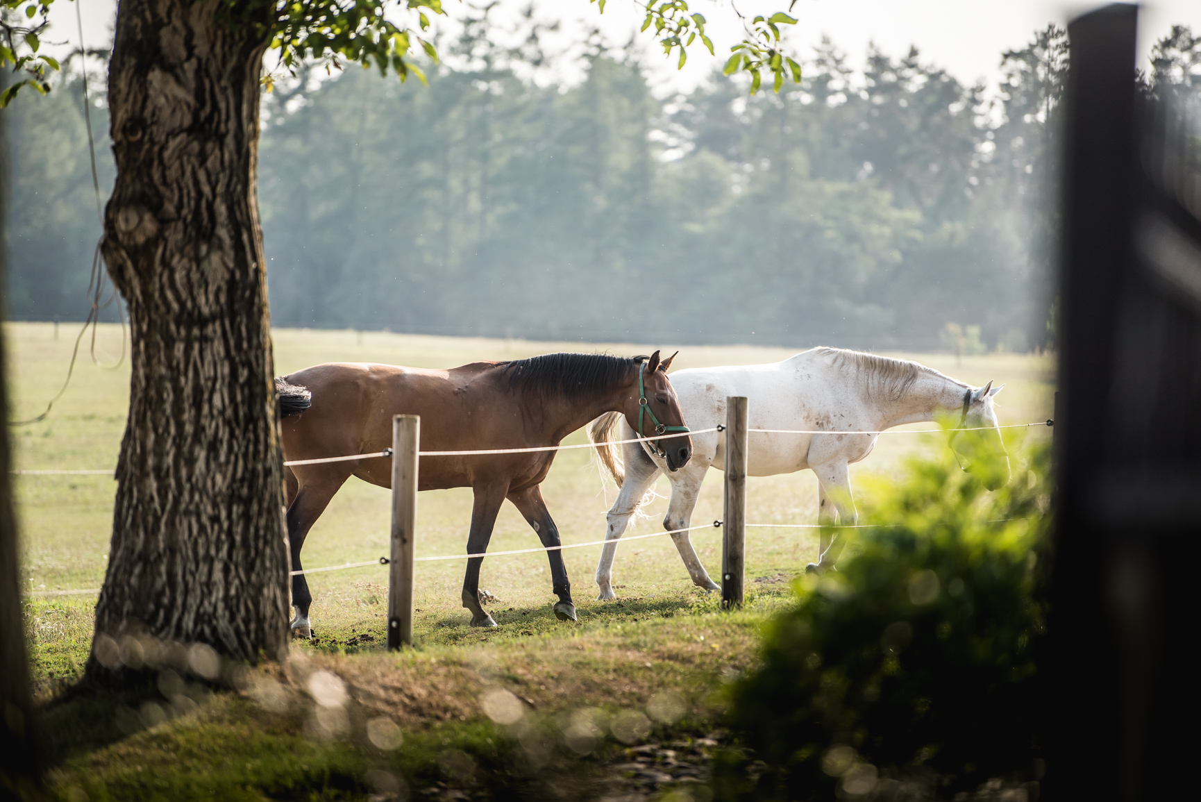 b_DSC_0132.jpg b_DSC_0132.jpg