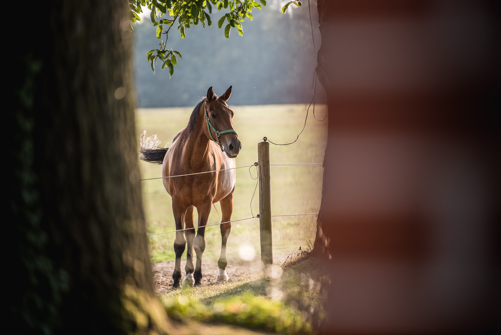 b_DSC_0135.jpg b_DSC_0135.jpg