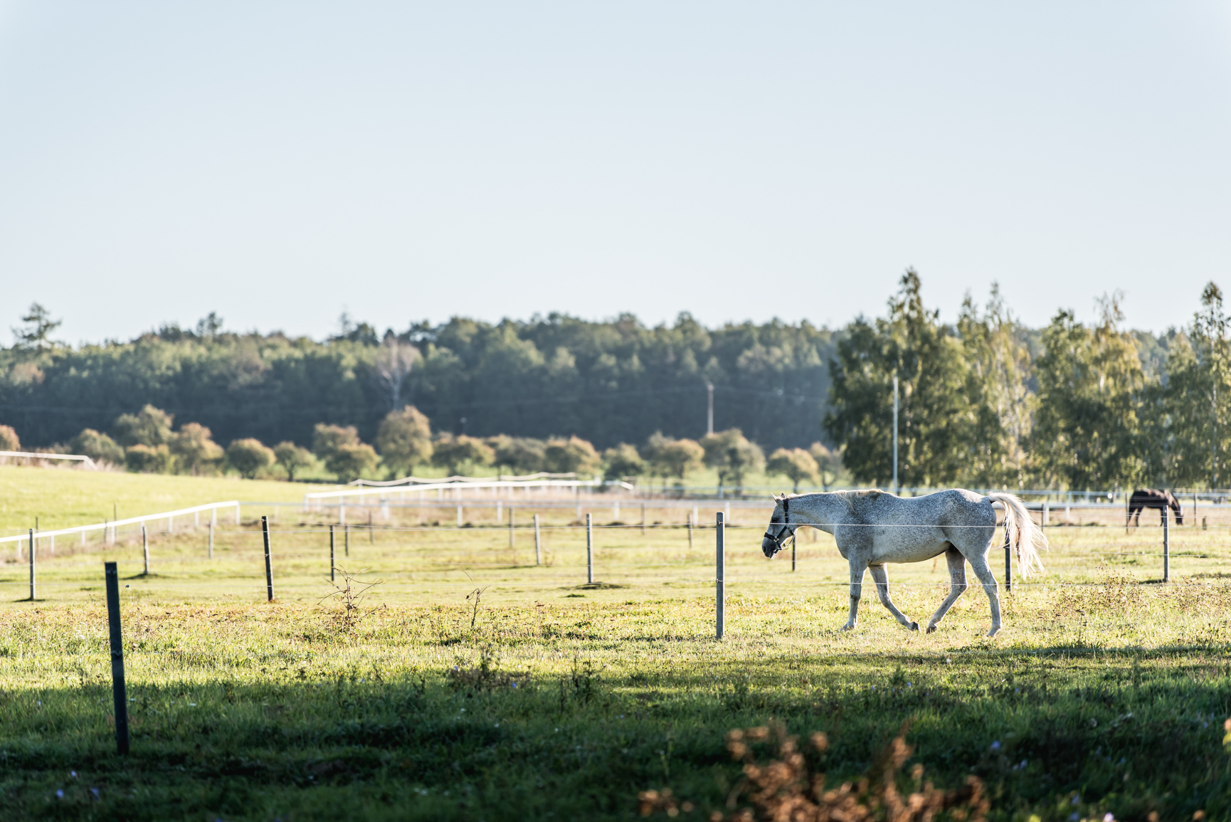 b_DSC_0172.jpg b_DSC_0172.jpg