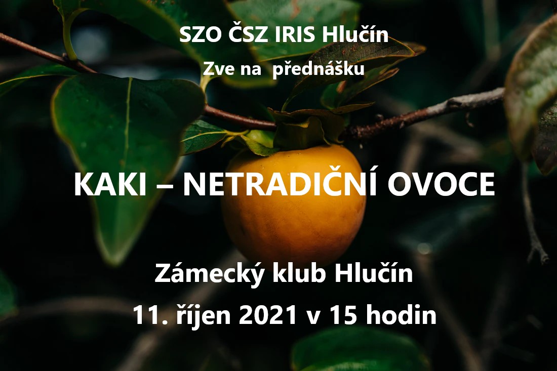 KAKI - netradiční ovoce 