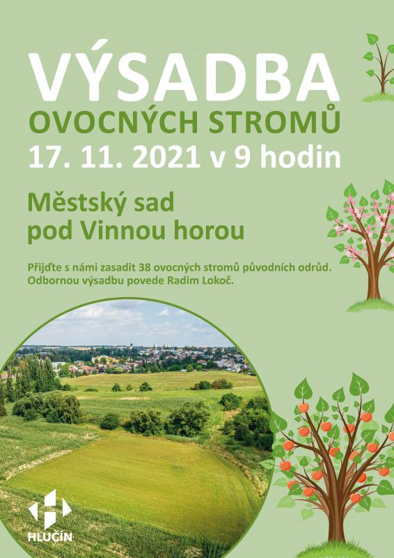 Výsadba ovocných stromů 