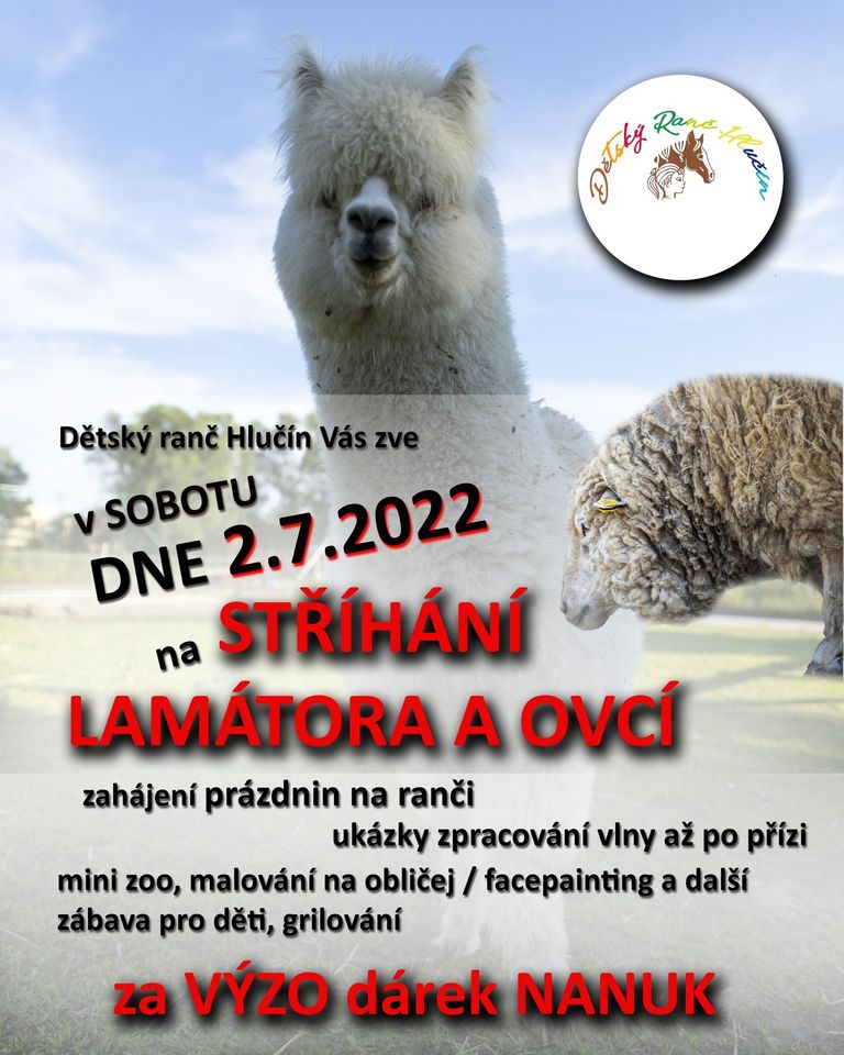 Stříhání lamátora a ovcí 