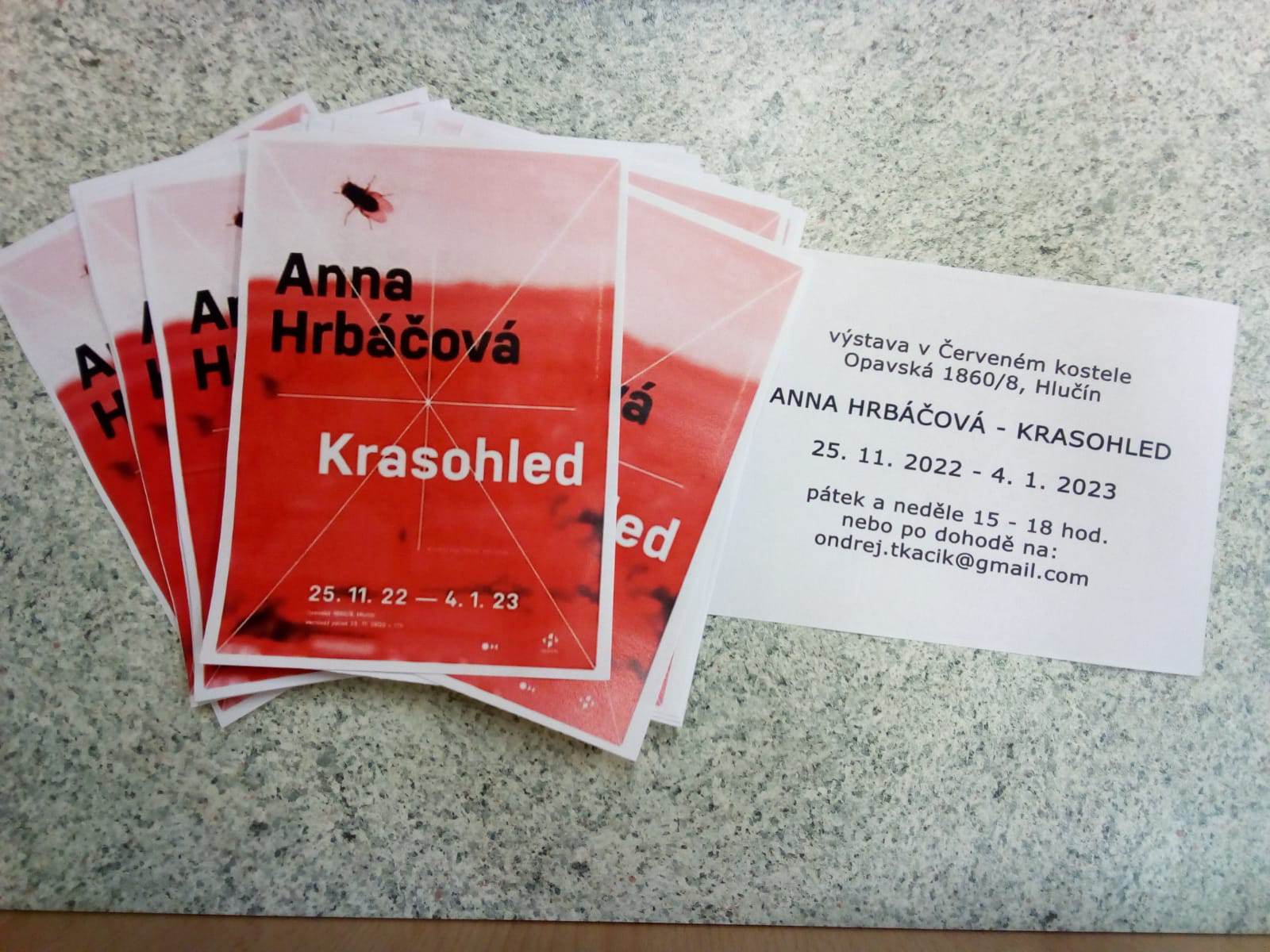 Anna Hrbáčová - KRASOHLED - komentovaná prohlídka Anna Hrbáčová - KRASOHLED - komentovaná prohlídka