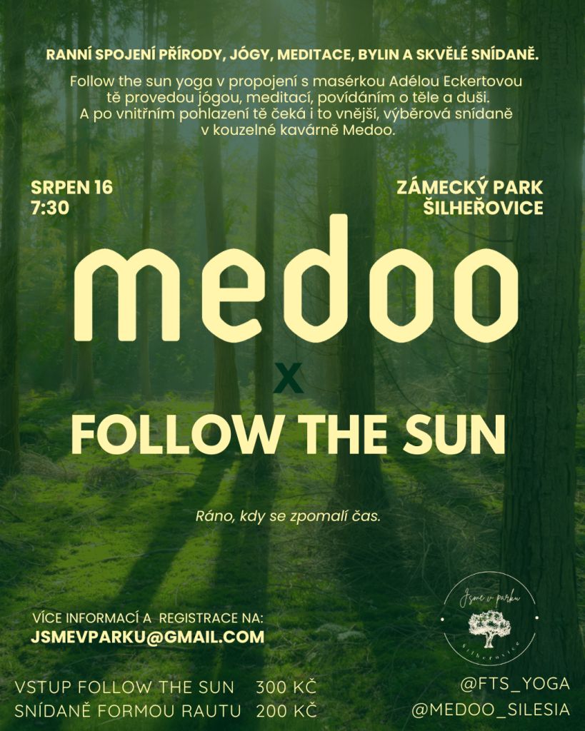 Medoo X Follow the sun