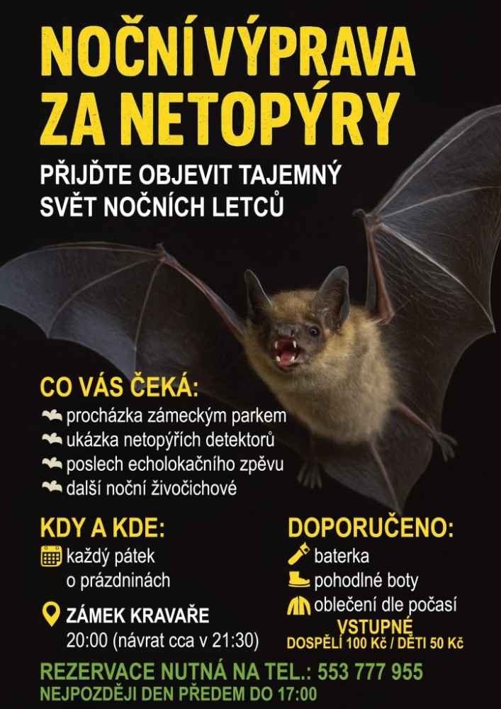 Noční výprava za netopýry